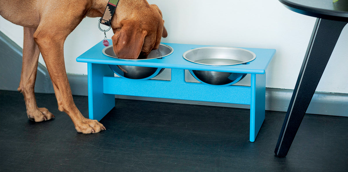 Loll Designs Minimalist Dog Bowl (Double, Large) - Driftwood