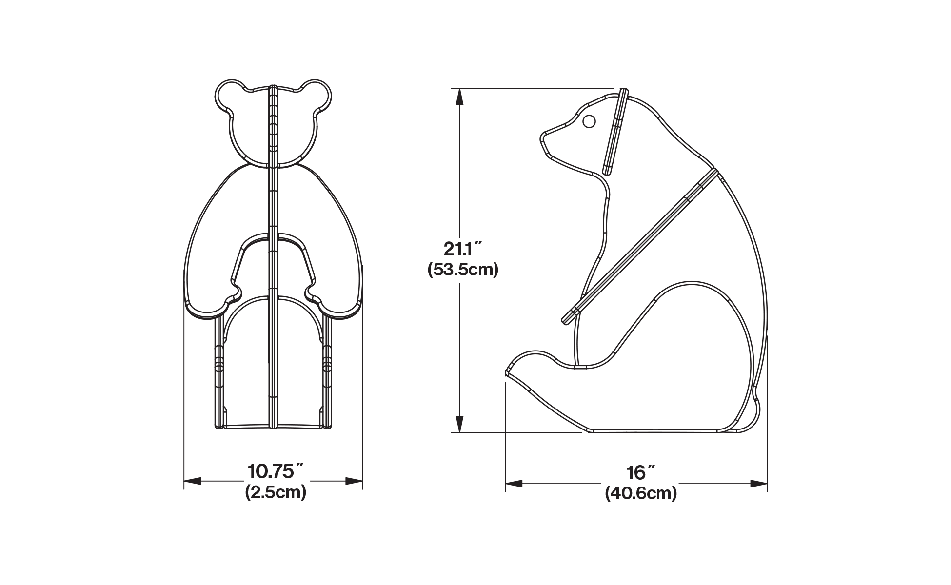 Polar Bear Dimensions