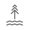 Clean your Creek icon. Outline image of a tree with water below