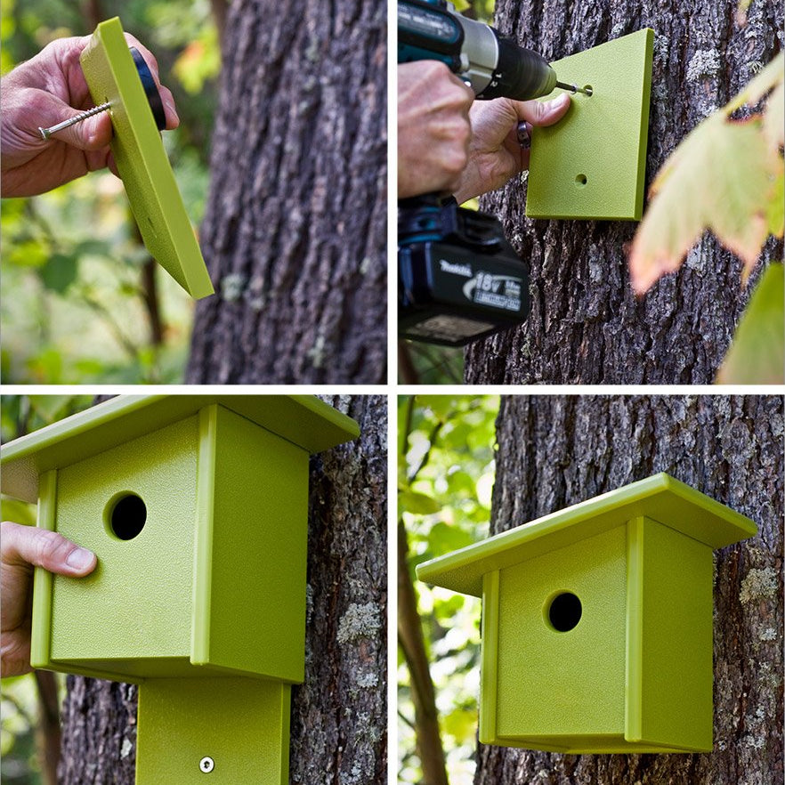 birdhouse installation