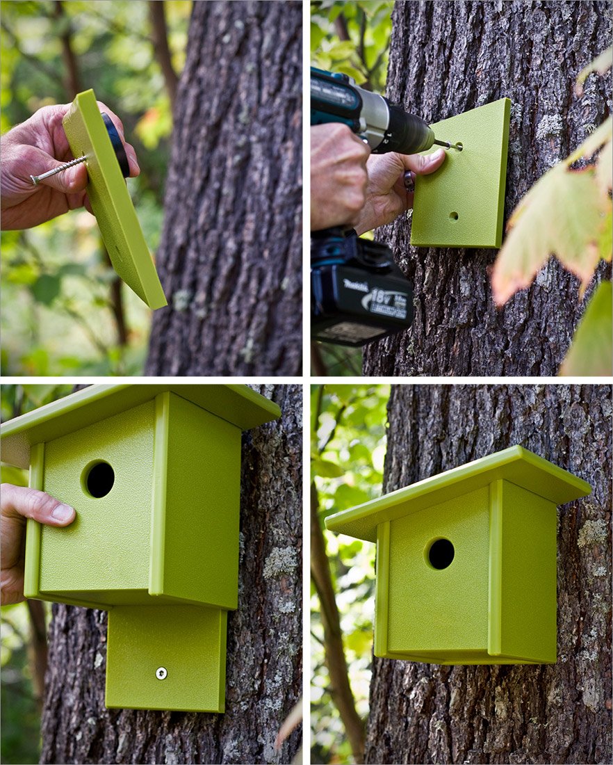 birdhouse installation