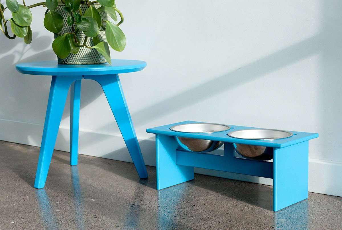 modern pet bowl