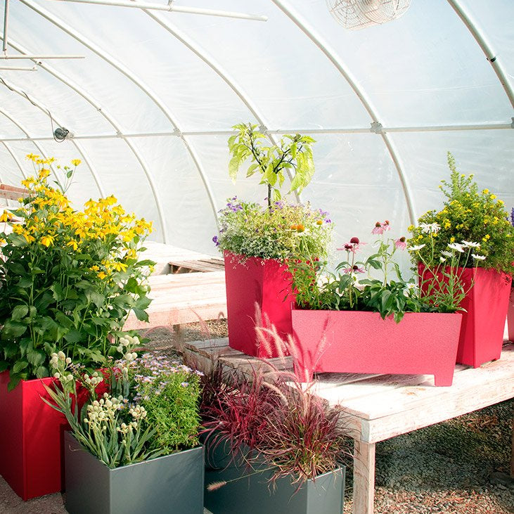 modern flower garden planters