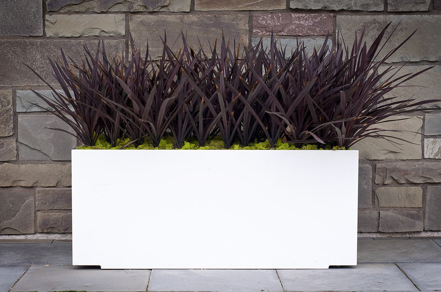 modern planter