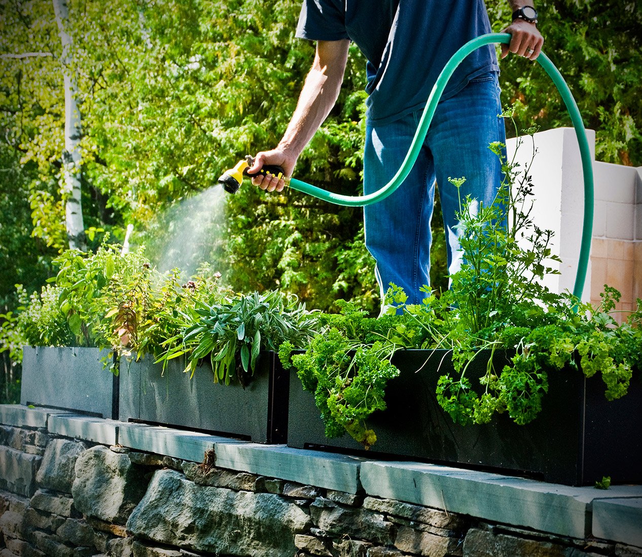modern planter