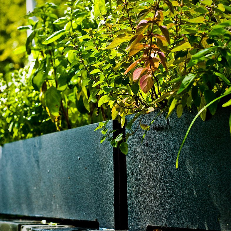 modern planter
