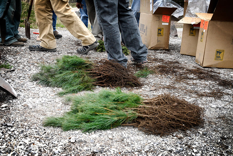Clean yer creek 2008