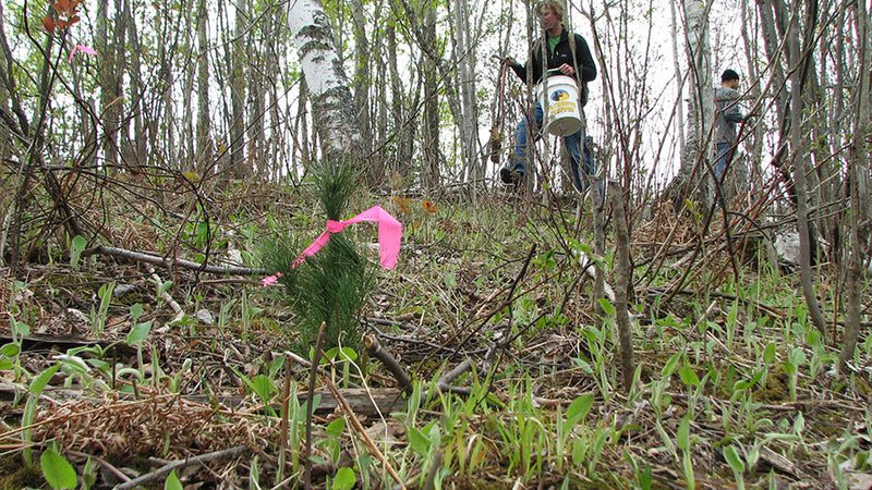 Clean yer creek 2010