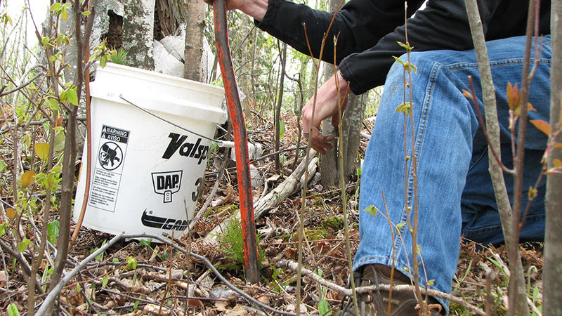 Clean yer creek 2010