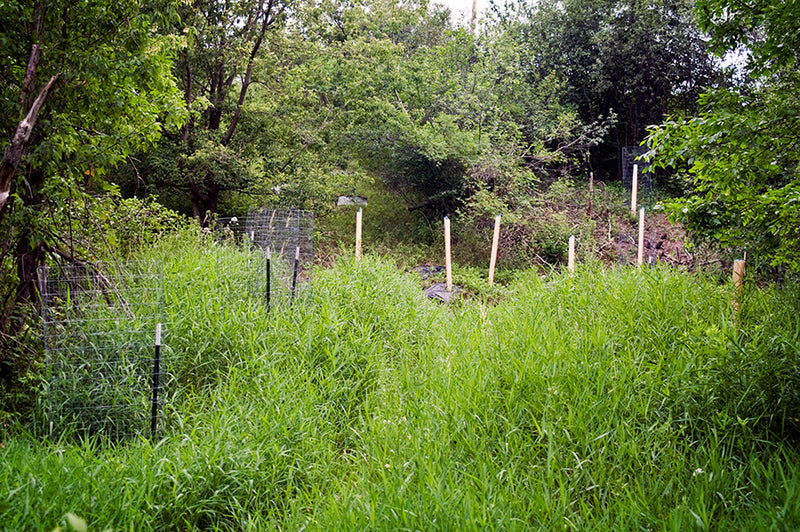 Clean yer creek 2012