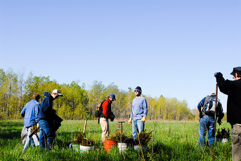 Clean yer creek 2011