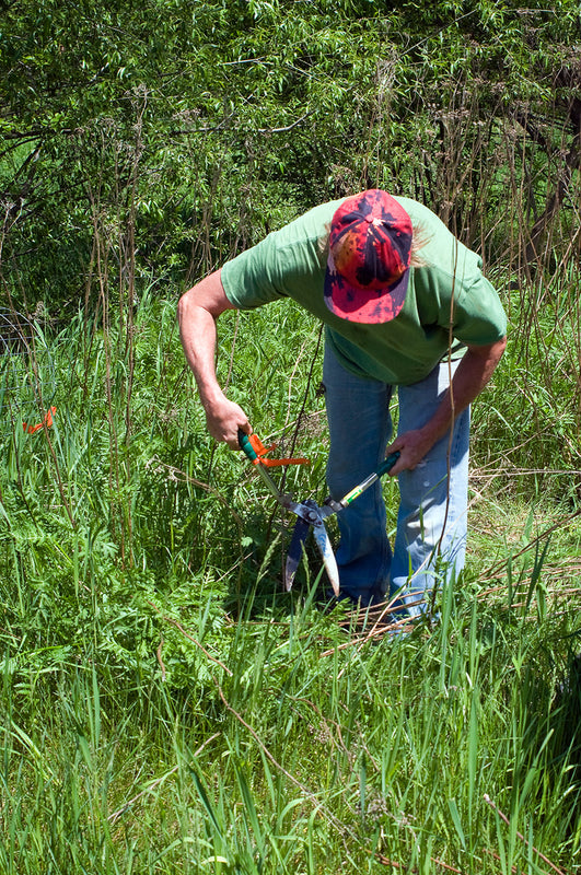 Clean yer creek 2013