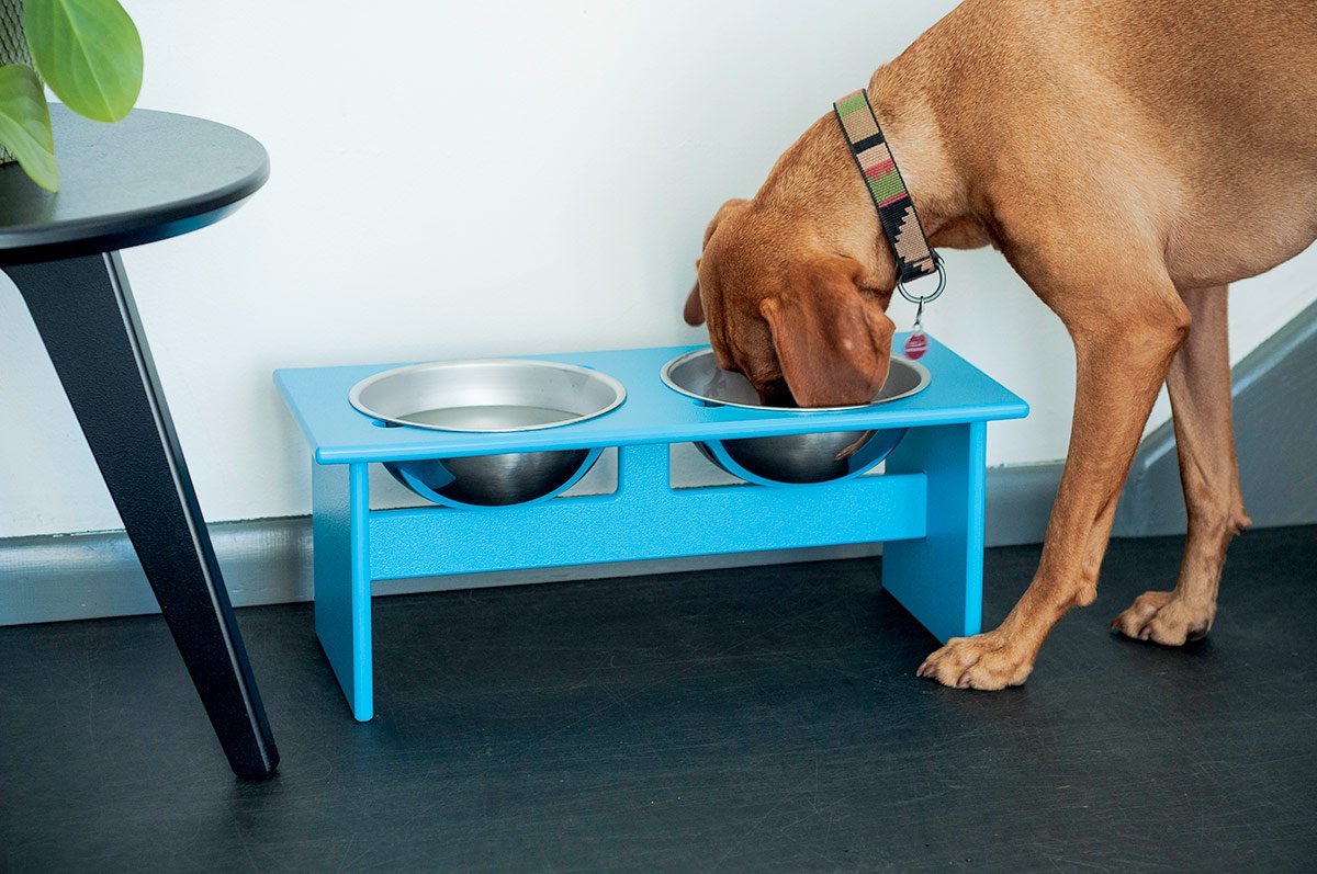 Elevated Dog Bowls with Stand, Raised Dog Feeder for Large Medium Dogs, Oak
