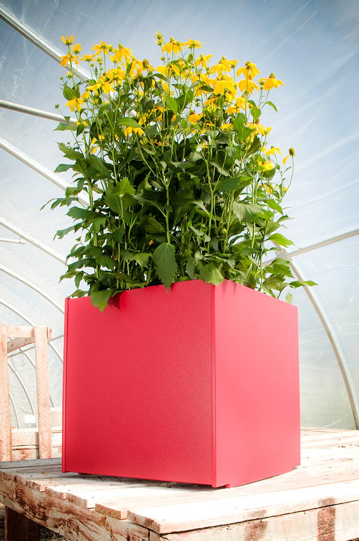 loll trellis planter Loll Designs Square Planter (60 Gallon)