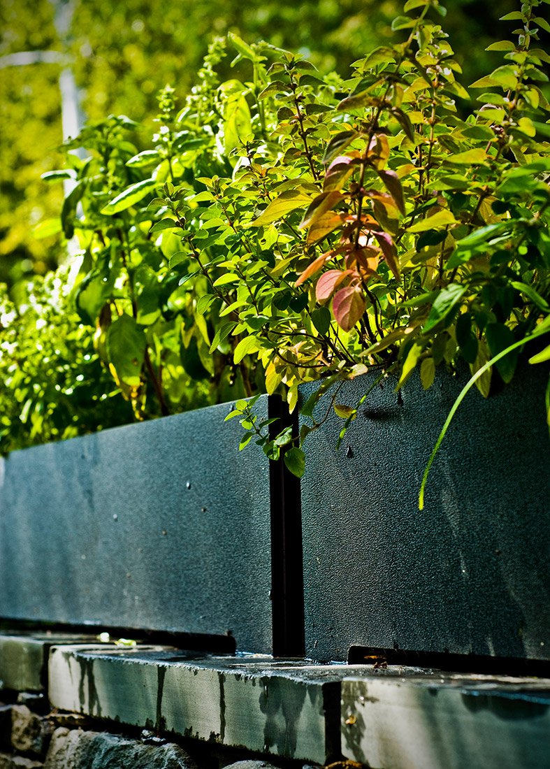 loll trellis planter Loll Designs Rectangle Planter (8 Gallon)