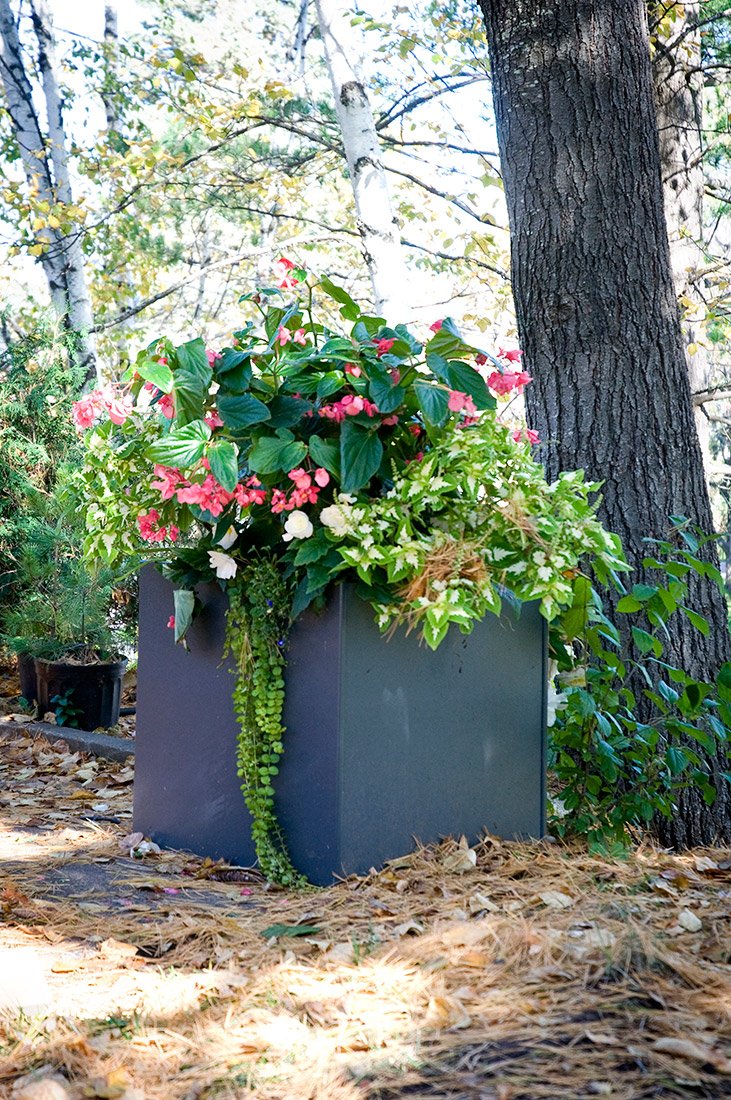 large modern outdoor flower planter