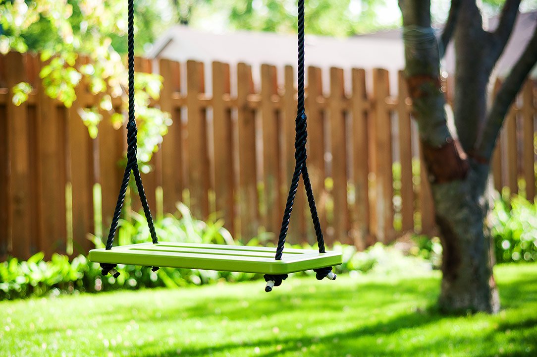 swing from a tree